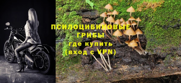 дмт Краснотурьинск