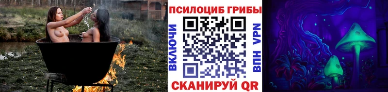 Псилоцибиновые грибы Cubensis  Купить где  Тырныауз 