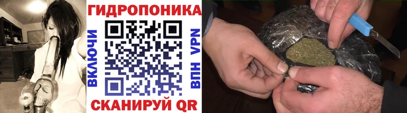 Купить закладки  Тырныауз  Каннабис Amnesia 